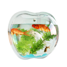 Load image into Gallery viewer, Hot wall greenkindergarten wall pot hydroponics Chlorophytum Home Furnishing study restaurant wall decorations