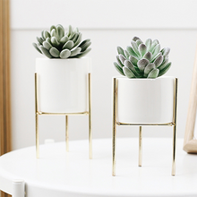 Load image into Gallery viewer, Plant Succulent Flowerpot