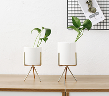 Load image into Gallery viewer, Flavor flower pot wrought iron vase simple iron frame