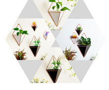 Load image into Gallery viewer, Creative home three-dimensional wall decoration flower pot