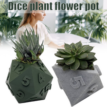 Load image into Gallery viewer, 3D Printed Plant Pot Table Top RPG Dice Succulent Planter Set Home Decoration Multifunction Garden Flower Pot
