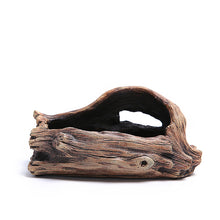 Load image into Gallery viewer, Cement root carving succulent flower pot