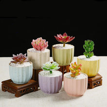 Load image into Gallery viewer, Ceramic Creative Indoor Succulent Plant Pots