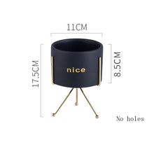 Load image into Gallery viewer, Creative Personality Iron Ceramic Flowerpot