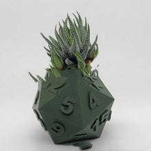 Load image into Gallery viewer, 3D Printed Plant Pot Table Top RPG Dice Succulent Planter Set Home Decoration Multifunction Garden Flower Pot