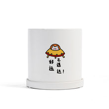 Load image into Gallery viewer, Matte Straight Personality Indoor Ceramic Flowerpot