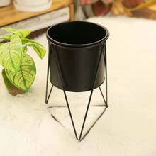 Load image into Gallery viewer, North Flower Pot Iron Flower Stand Green Radish Office Living Room Home