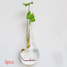 Load image into Gallery viewer, Fashion Wall Hanging Glass Flower Vase Terrarium Wall Fish Tank Aquarium Container Flower Planter Pots Home Garden Decoration