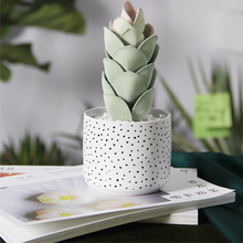 Load image into Gallery viewer, Modern And Simple Ceramic Flower Pots Home Fashion Green Planting Pots