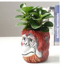 Load image into Gallery viewer, Simulation Resin Ape Head Flower Pot