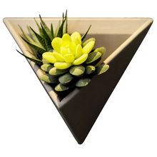 Load image into Gallery viewer, Creative Plant Flower Pendant