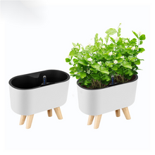 Load image into Gallery viewer, Automatic Water-absorbing Flower Pot Home Office Desktop Balcony