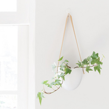 Load image into Gallery viewer, Ceramic Flower Pot
