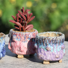 Load image into Gallery viewer, Succulent Flower Pot Ceramic Creative Personality Cute Hand Squeeze