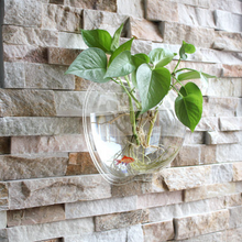 Load image into Gallery viewer, Hot wall greenkindergarten wall pot hydroponics Chlorophytum Home Furnishing study restaurant wall decorations