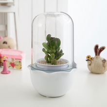 Load image into Gallery viewer, Personality Lazy Succulent Plant Pot