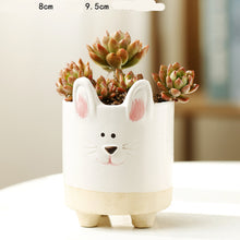 Load image into Gallery viewer, Cartoon Animal Succulent Flower Pot Ceramic Household Creative Stoneware Breathable