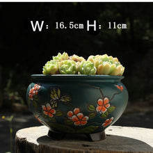 Load image into Gallery viewer, Hand-painted Large-caliber Succulent Flower Pot Coarse Ceramic Breathable