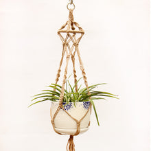 Load image into Gallery viewer, Hanging net on wall of flower pot
