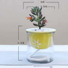 Load image into Gallery viewer, Cartoon glass ceramic flower pot