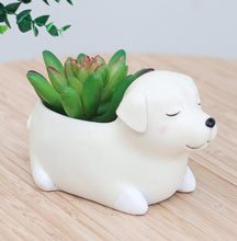 Load image into Gallery viewer, Animal Planter Pot
