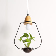Load image into Gallery viewer, Plant Chandelier