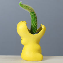 Load image into Gallery viewer, Gardening creative succulent flower pot