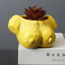 Load image into Gallery viewer, Art Succulent Flower Pot Ceramic Creative Personality Plant Human Flower