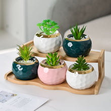 Load image into Gallery viewer, Multi-layer Small Flower Stand Solid Wood Floating Office Green Radish Succulent Flower Pot Shelf