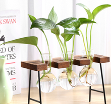 Load image into Gallery viewer, Glass Wood Vase Table Desktop Hydroponics Plant Stationery Bonsai Flower Pot Decoration Hanging Pots with Wooden Tray Pen Holder
