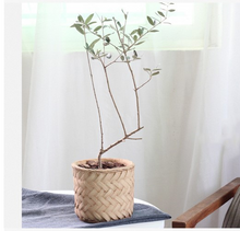 Load image into Gallery viewer, Bamboo flower pot Retro woven storage bamboo basket