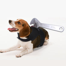 Load image into Gallery viewer, Creative Halloween Tricks For Cats And Dogs