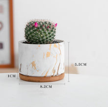 Load image into Gallery viewer, Straight Round Marble Ceramic Succulent Flower Pot
