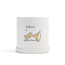Load image into Gallery viewer, Matte Straight Personality Indoor Ceramic Flowerpot