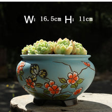 Load image into Gallery viewer, Hand-painted Large-caliber Succulent Flower Pot Coarse Ceramic Breathable