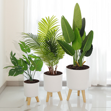 Load image into Gallery viewer, Lazy Self-absorbent Flower Pot Round Floor