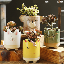 Load image into Gallery viewer, Cartoon Animal Succulent Flower Pot Ceramic Household Creative Stoneware Breathable
