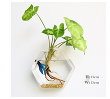Load image into Gallery viewer, Fashion Wall Hanging Glass Flower Vase Terrarium Wall Fish Tank Aquarium Container Flower Planter Pots Home Garden Decoration