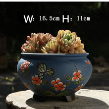 Load image into Gallery viewer, Hand-painted Large-caliber Succulent Flower Pot Coarse Ceramic Breathable