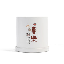 Load image into Gallery viewer, Matte Straight Personality Indoor Ceramic Flowerpot