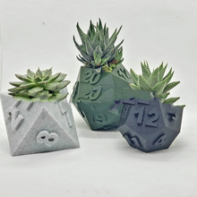 Load image into Gallery viewer, 3D Printed Plant Pot Table Top RPG Dice Succulent Planter Set Home Decoration Multifunction Garden Flower Pot