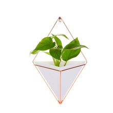Load image into Gallery viewer, Creative home three-dimensional wall decoration flower pot