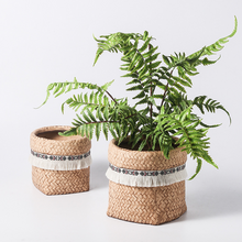 Load image into Gallery viewer, Nordic Flower Pot Ceramic Antique Sack Round Cute Simple Literary Personality Indoor