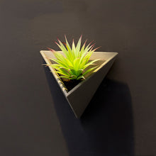 Load image into Gallery viewer, Simulation plant flower wall hanging