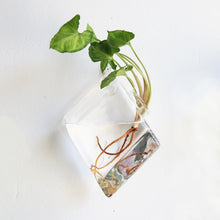 Load image into Gallery viewer, Fashion Wall Hanging Glass Flower Vase Terrarium Wall Fish Tank Aquarium Container Flower Planter Pots Home Garden Decoration