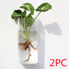 Load image into Gallery viewer, Fashion Wall Hanging Glass Flower Vase Terrarium Wall Fish Tank Aquarium Container Flower Planter Pots Home Garden Decoration