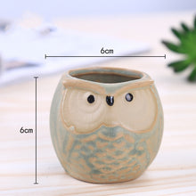 Load image into Gallery viewer, Owl Animal Thumb Flower Pot Personality Ceramic Craft Office Home Decoration