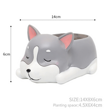 Load image into Gallery viewer, Creative Sleeping Pet Succulent Flower Pot
