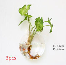 Load image into Gallery viewer, Fashion Wall Hanging Glass Flower Vase Terrarium Wall Fish Tank Aquarium Container Flower Planter Pots Home Garden Decoration