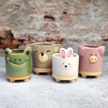 Load image into Gallery viewer, Cartoon Animal Succulent Flower Pot Ceramic Household Creative Stoneware Breathable